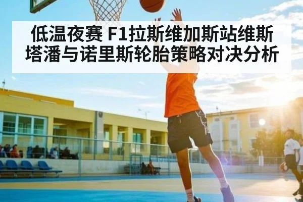 低温夜赛 F1拉斯维加斯站维斯塔潘与诺里斯轮胎策略对决分析